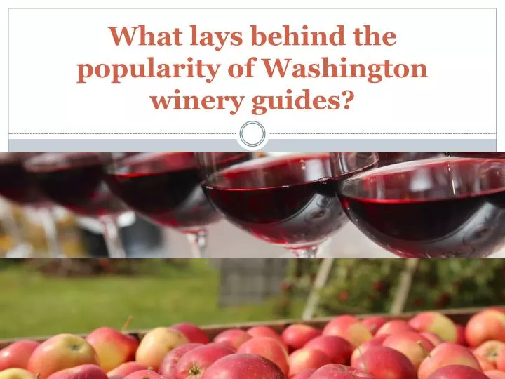what lays behind the popularity of washington winery guides