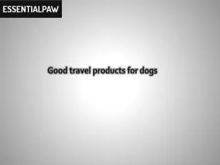 Good travel products for dogs
