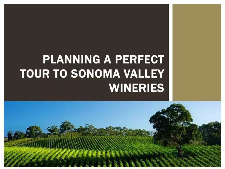 planning a perfect tour to sonoma valley wineries