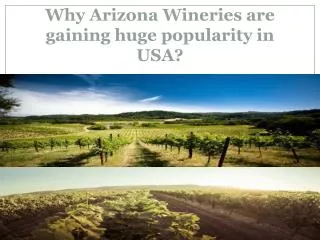 Arizona Wineries