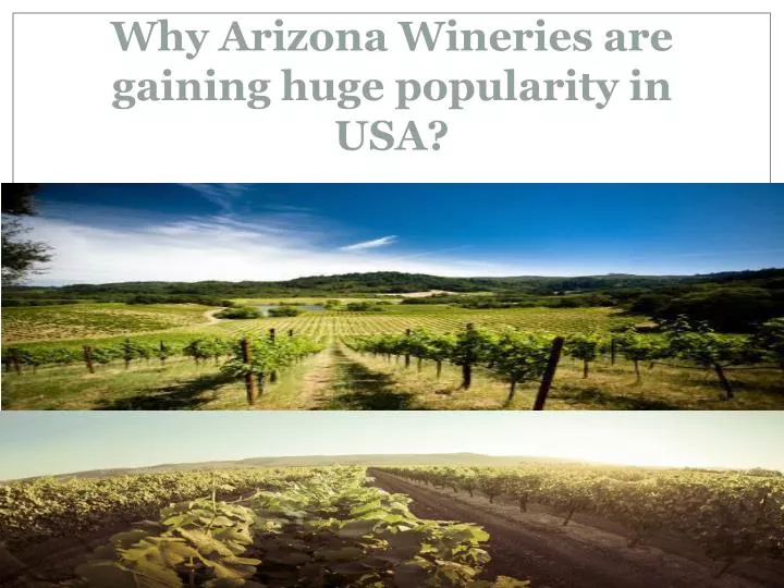 why arizona wineries are gaining huge popularity in usa