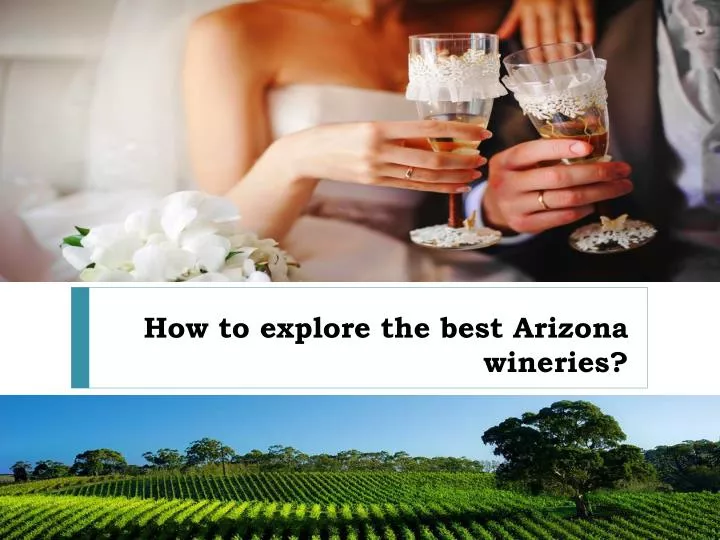 how to explore the best arizona wineries