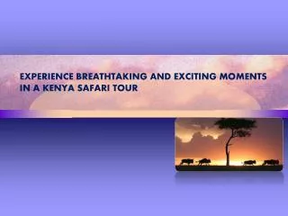 Experience Breathtaking and Exciting Moments in a Kenya Safa