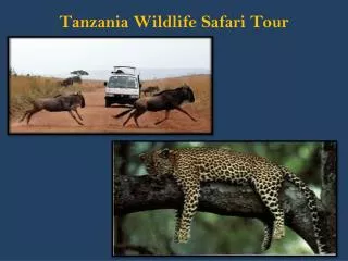 Tanzania Wildlife Safari Tour