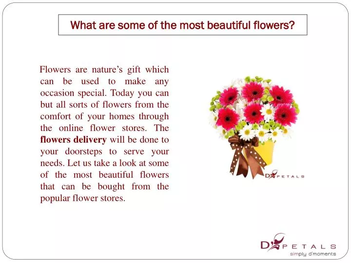 what are some of the most beautiful flowers