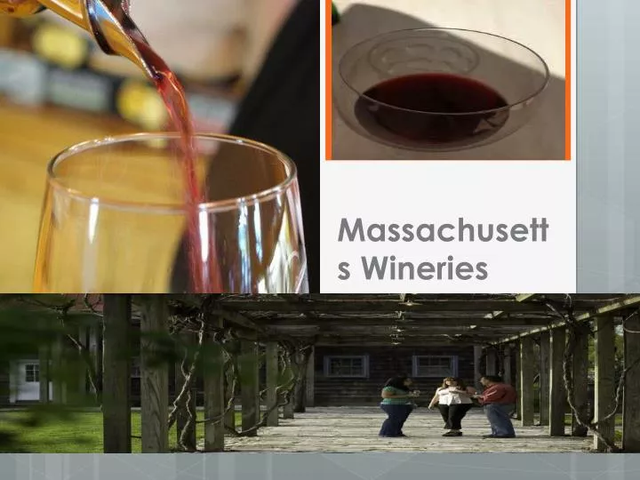 massachusetts wineries
