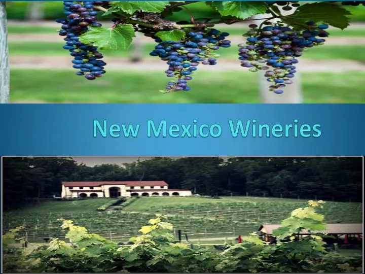 new mexico wineries