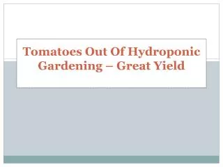 Tomatoes Out Of Hydroponic Gardening – Great Yield