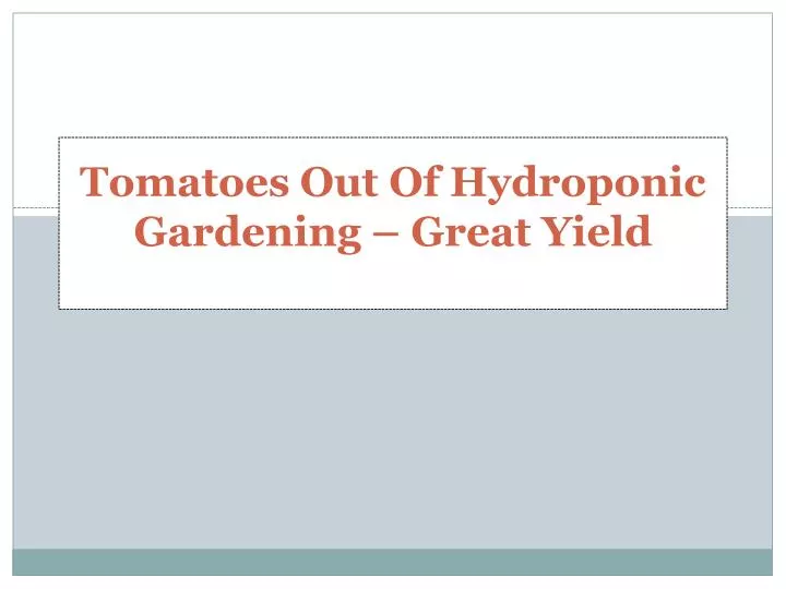 tomatoes out of hydroponic gardening great yield