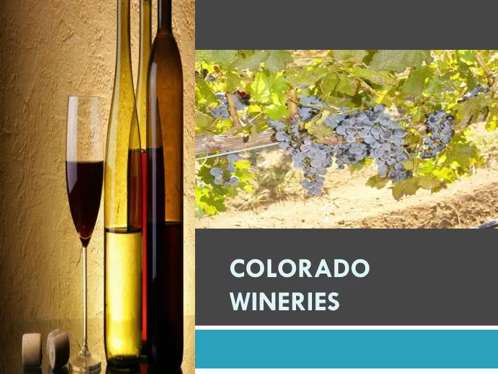 colorado wineries
