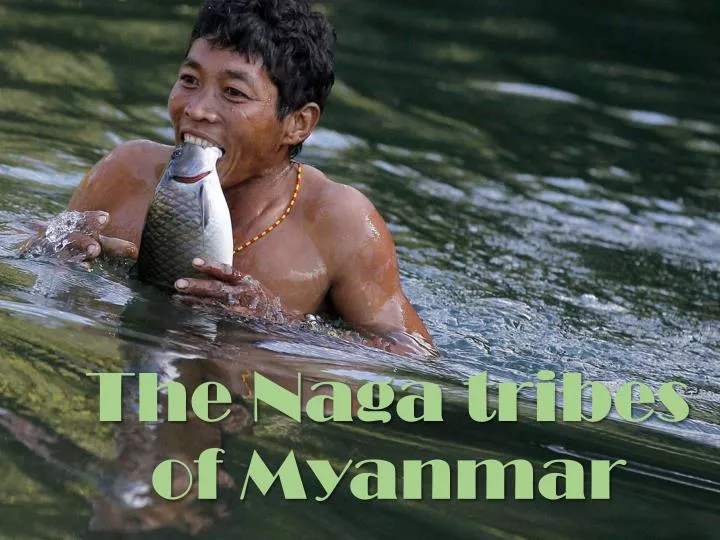 the naga tribes of myanmar