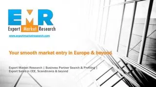 Professional European Market Entry Services