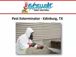 Pest Exterminator-Edinburg, TX