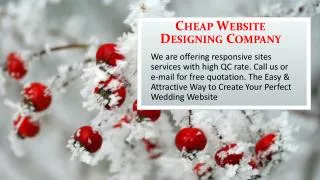 Cheap Website Designing Company