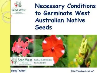 Necessary Conditions to Germinate West Australian Native See