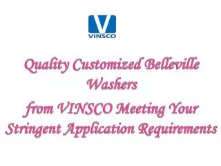 Quality Customized Belleville Washers from VINSCO