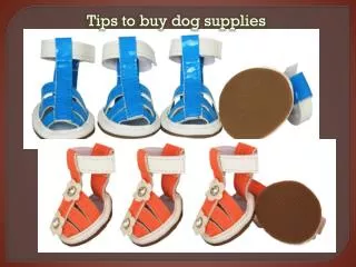 Tips, tricks and dog supplies to care for an ill pet
