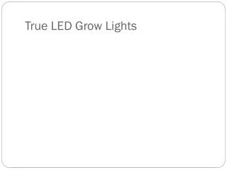 LED Plant Grow Lights
