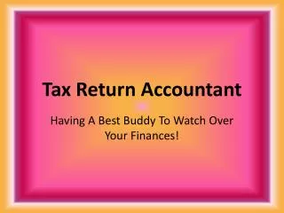 Tax Return Accountant: Having A Best Buddy To Watch Over You