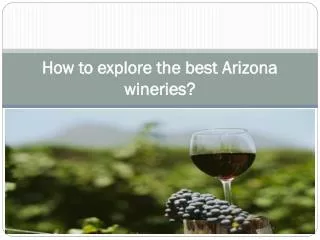 How to explore the best Arizona wineries
