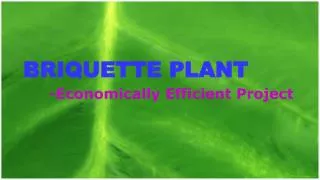Briquette Plant– Economically Efficient Project