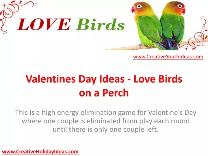 valentines day ideas love birds on a perch