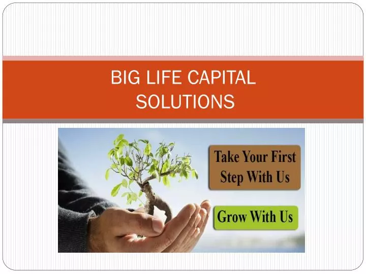 big life capital solutions