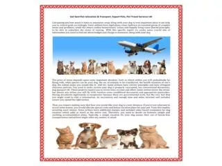 Pet Travel Scheme and Exporting Your Pet or Pet relocation s