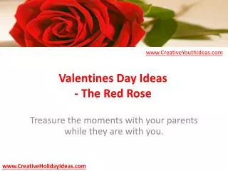 Valentines Day Ideas - The Red Rose