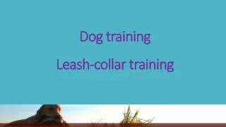 Dog training - Leash-collar training