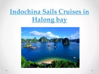 Indochina Sails Cruise in Halong bay