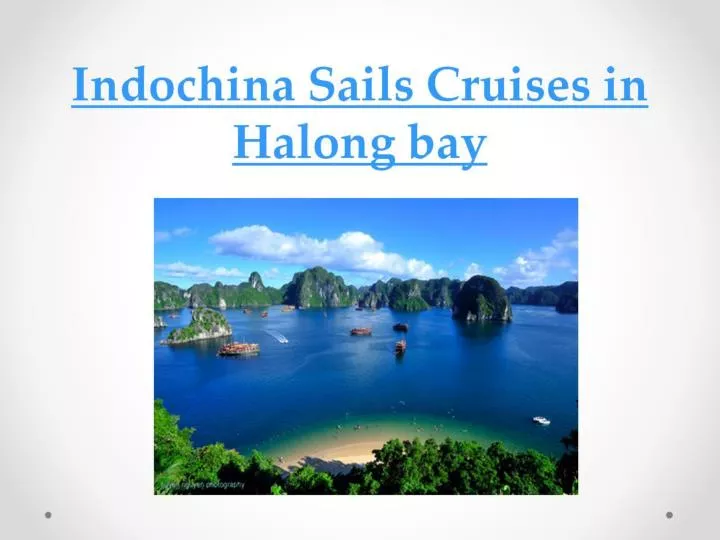 indochina sails cruises in halong bay
