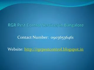 Best Pest Control Services in Bangalore - 09036536461