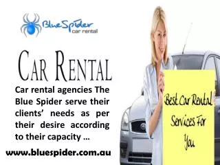 Blue Spider- Makes Your Trip Enjoyable and Relaxing