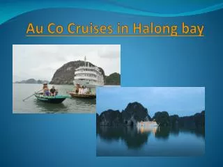 Au Co Cruises in Halong bay