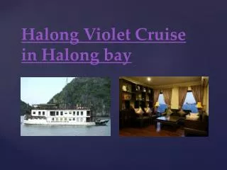 Halong Violet Cruise in Halong bay