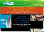 SAP MDG ONLINE TRAINING IN SOUTH AFRICA - slide 1