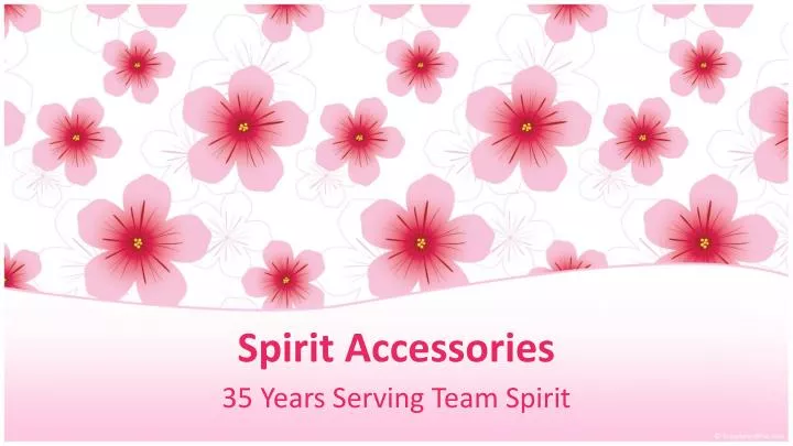 spirit accessories