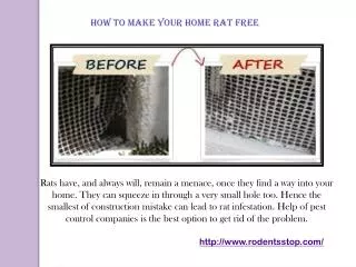 HOW TO MAKE YOUR HOME RAT FREE