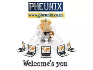 SEO Promotion company PHEUNIX