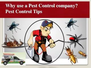Why use a Pest Control company? Pest Control Tips