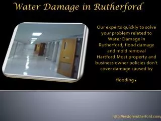 Water Damage in Rutherford