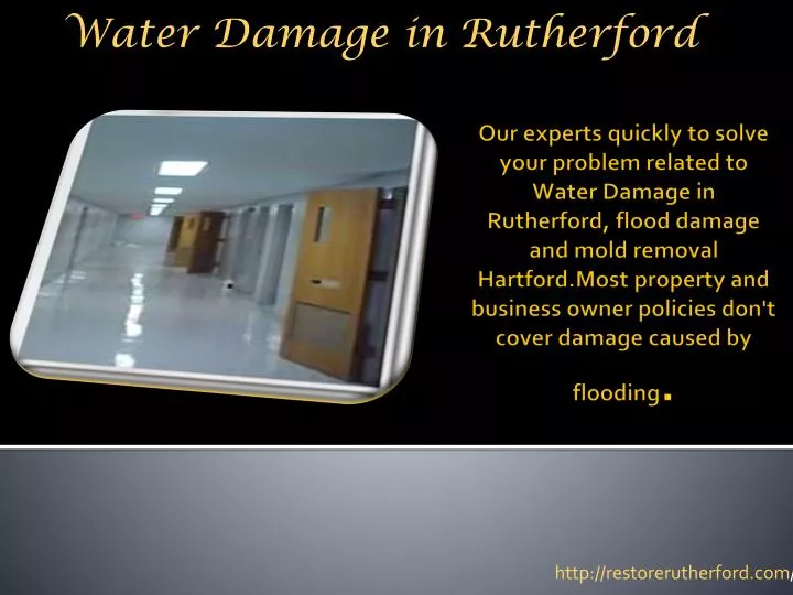 water damage in rutherford