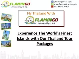 Experience The World's Finest Islands with Our Thailand Tour