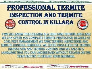 Professional Termite Inspection & Termite Control in Killara
