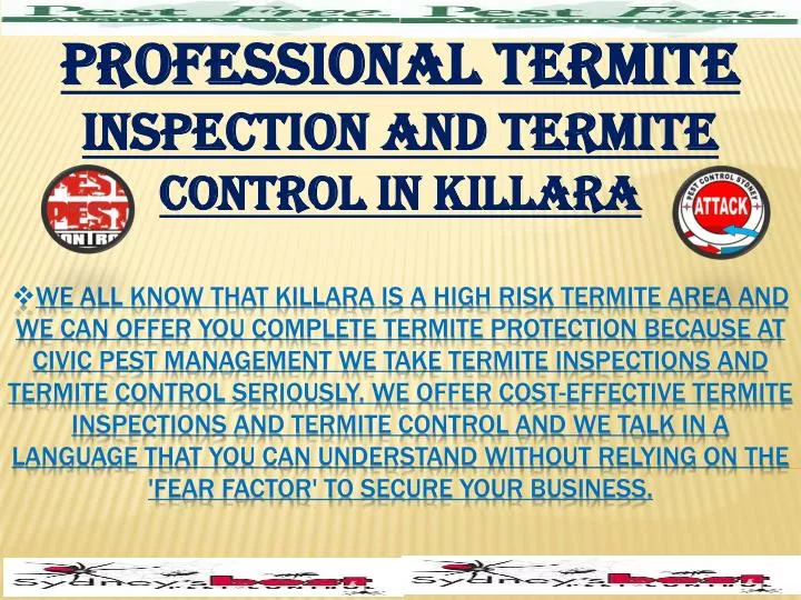 professional termite inspection and termite control in killara