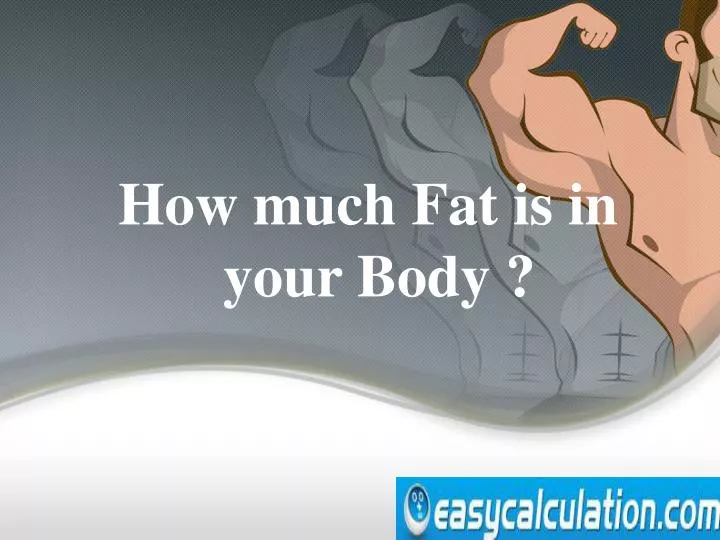 how much fat is in your body