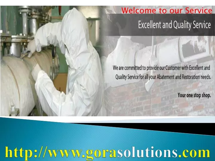http www gora solutions com