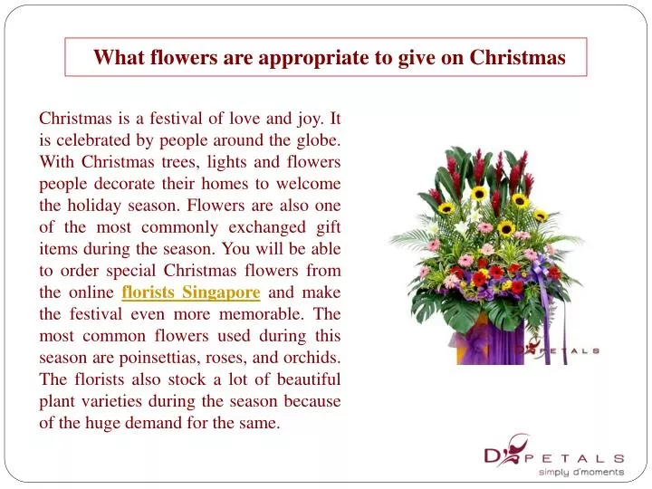 what flowers are appropriate to give on christmas