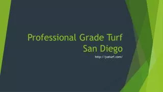 Professional Grade Turf San Diego